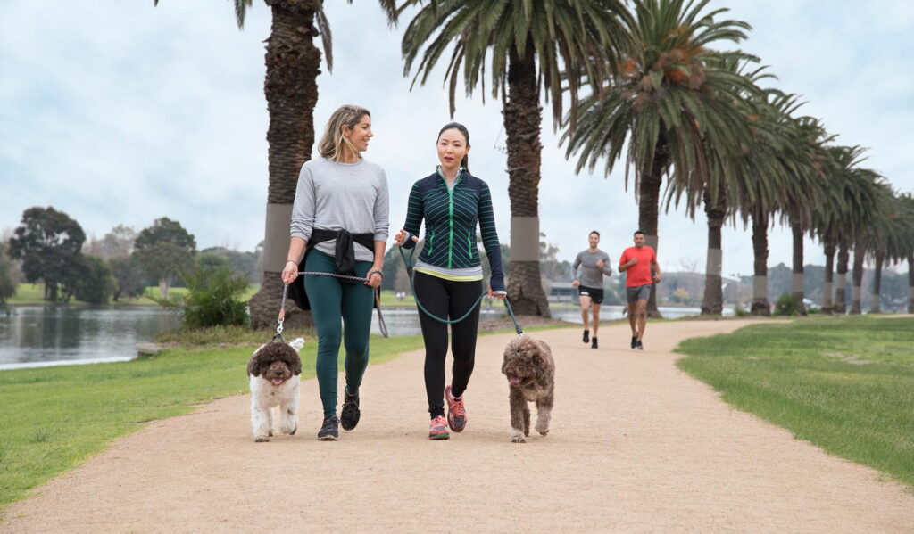 Pet-Friendly Communities in Dubai