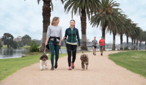 Pet-Friendly Communities in Dubai